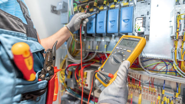 Best Electric Panel Repair  in Northvale, NJ